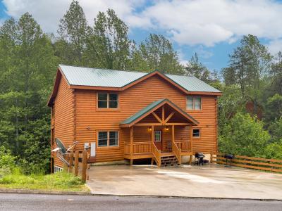 1614 Barn Door Lane, Sevierville, Tennessee 37862, USA