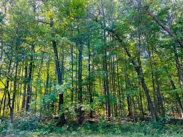 Lot 27 Fairway Drive, Roscommon, Michigan 48653, Estados Unidos