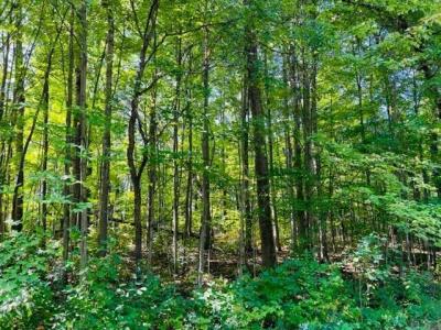 Lot 27 Fairway Drive, Roscommon, Michigan 48653, Estados Unidos