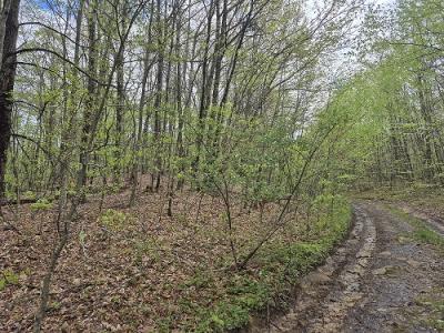Alaska Mountain Road, Meadow Bridge, WV 25976, USA