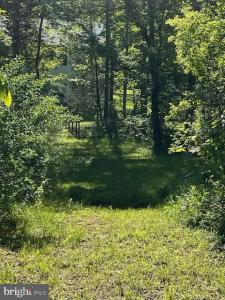 107 Shady Creek Lane, Fredericksburg, Virginia 22406