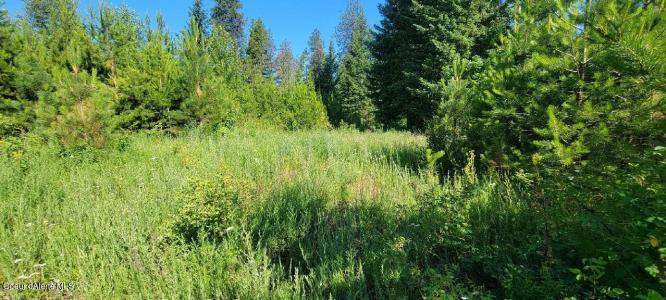 Lt 4 W Fredrick Loop, Spirit Lake, Idaho 83869, États-Unis