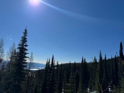 NNA Tall Timber, Sandpoint, Idaho 83864, USA