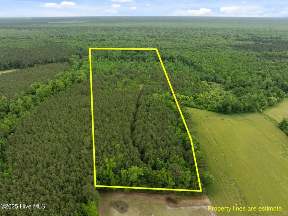 Tbd Nc-50, Wallace, North Carolina 28466