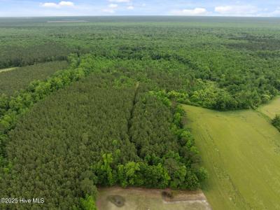 Tbd Nc-50, Wallace, North Carolina 28466