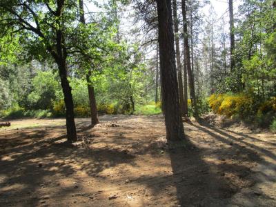 16289 Badger Hill Road, Nevada City, California 95959, HOA KỲ