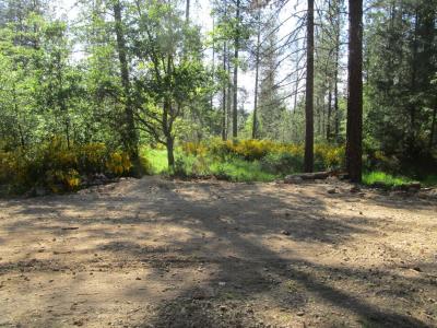 16289 Badger Hill Road, Nevada City, California 95959, HOA KỲ