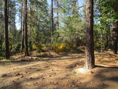 16289 Badger Hill Road, Nevada City, California 95959, HOA KỲ