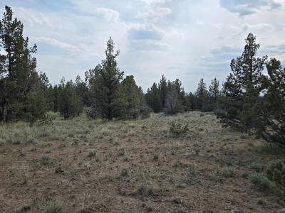 TL 7100 SE Hilltop Road , TL 7100, Prineville, Oregón 97754, Estados Unidos