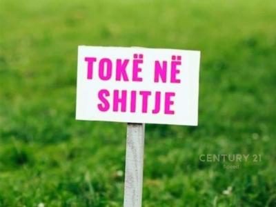 Liqeni i Farkës, Tirana, Albania