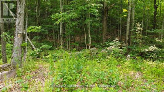 LOT 52 TINY BEACHES ROAD NORTH, Tiny, Ontario L9M 0H8, Kanada