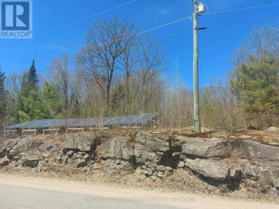 1145 LITTLE HAWK LAKE ROAD, Algonquin Highlands (stanhope), 온타리오주 K0M 1S0, 캐나다