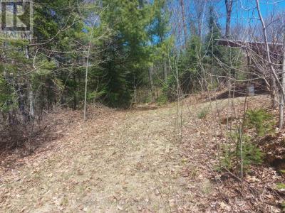 1145 LITTLE HAWK LAKE ROAD, Algonquin Highlands (stanhope), 온타리오주 K0M 1S0, 캐나다