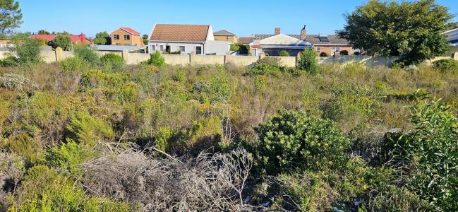 Gansbaai, Western Cape, South Africa