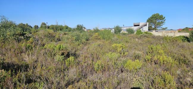 Gansbaai, Western Cape, 南非