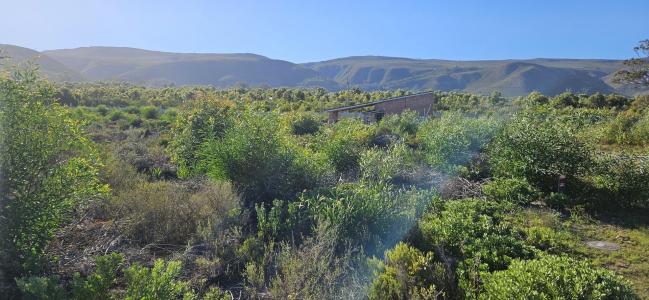 Gansbaai, Western Cape, 南非
