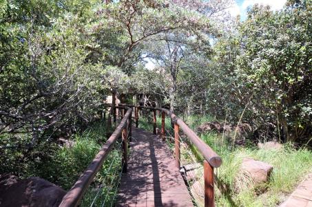 Bela Bela, Limpopo, South Africa