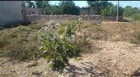 2 D 300,, Kanasin, Yucatan 97370, Mexico