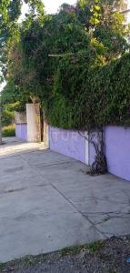 Carretera Xoxocotlan s/n,, Puente De Ixtla, Morelos 62670, Mexiko