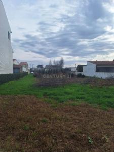 Águeda, Aveiro 3750-791, Portugal