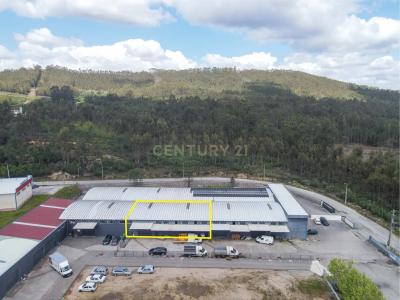 Lousã, 科英布拉 3200, 葡萄牙