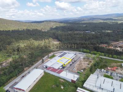 Lousã, 科英布拉 3200, 葡萄牙