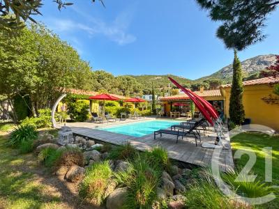 Calvi, Corse 20260, Francia