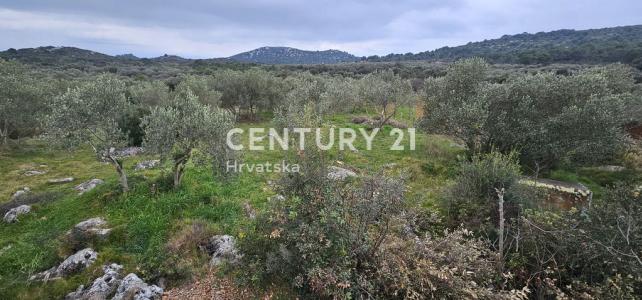 Tkon, Tkon, Zadarska Županija 23212, קרואטיה