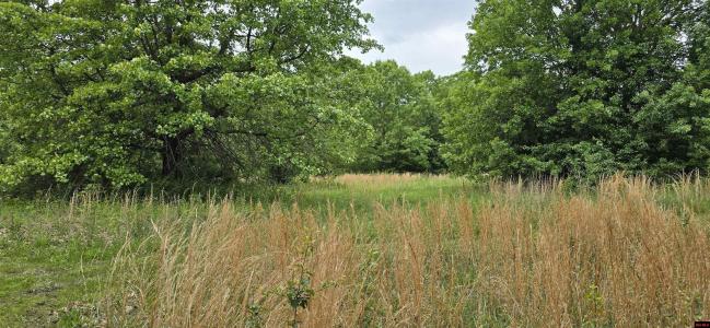 Lot 7 SHARON DRIVE, Mountain Home, Arkansas 72653, Estados Unidos