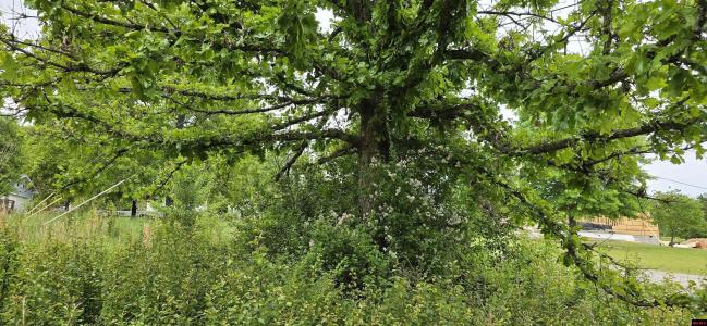 Lot 7 SHARON DRIVE, Mountain Home, Arkansas 72653, Estados Unidos