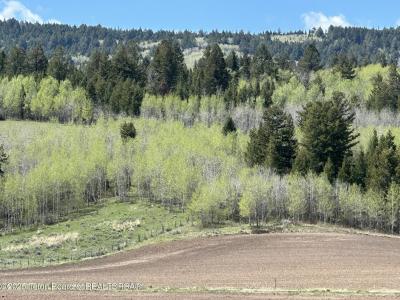 8875 WEST RIDGE Road, Tetonia, Idaho 83452, Estados Unidos