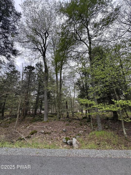 32 Old Silver Mine Trail, Gouldsboro, Pennsylvanie 18424, États-Unis