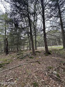 32 Old Silver Mine Trail, Gouldsboro, Pennsylvanie 18424, États-Unis