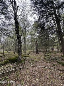 32 Old Silver Mine Trail, Gouldsboro, Pennsylvanie 18424, États-Unis
