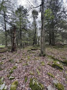 32 Old Silver Mine Trail, Gouldsboro, Pennsylvanie 18424, États-Unis
