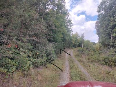 tbd Kelsey Ln, Hiwassee, Virginia 24347, HOA KỲ