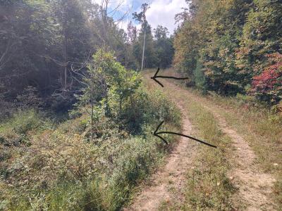 tbd Kelsey Ln, Hiwassee, Virginia 24347, USA