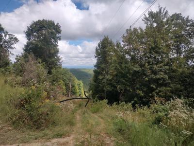 tbd Kelsey Ln, Hiwassee, Virginia 24347, HOA KỲ