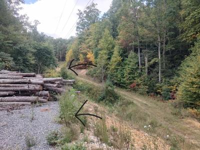 tbd Kelsey Ln, Hiwassee, Virginia 24347, HOA KỲ