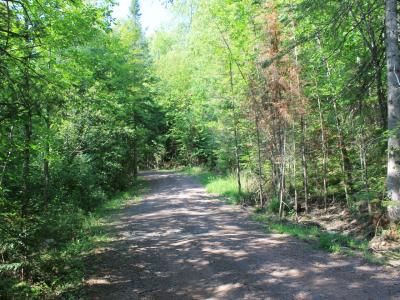 Lot 16 Alpine Dr, Anderson, ولاية ويسكونسن 54565, الولايات المتحدة