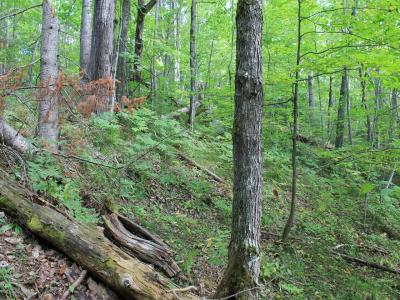 Lot 15 Alpine Dr, Upson, Wisconsin 54565, USA