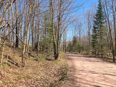 Lot 35 Alpine Drive, Upson, Wisconsin 54565, Estados Unidos