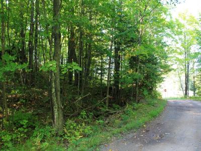 Lot 35 Alpine Drive, Upson, Wisconsin 54565, États-Unis