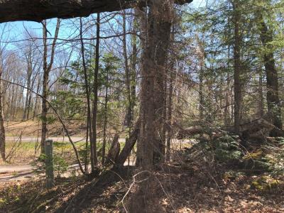 Lot 35 Alpine Drive, Upson, Wisconsin 54565, États-Unis