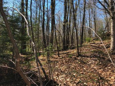 Lot 35 Alpine Drive, Upson, Wisconsin 54565, États-Unis