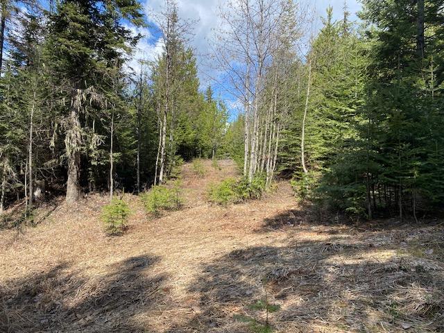 NNA Upper Gold Creek Rd, Sandpoint, 爱达荷州 83864, 美国