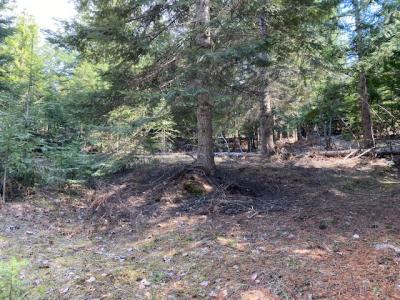NNA Upper Gold Creek Rd, Sandpoint, 爱达荷州 83864, 美国