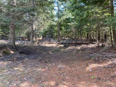 NNA Upper Gold Creek Rd, Sandpoint, 爱达荷州 83864, 美国