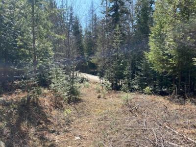 NNA Upper Gold Creek Rd, Sandpoint, 爱达荷州 83864, 美国