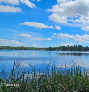 TBD CR 2290, Mineola, تكساس 75773, الولايات المتحدة